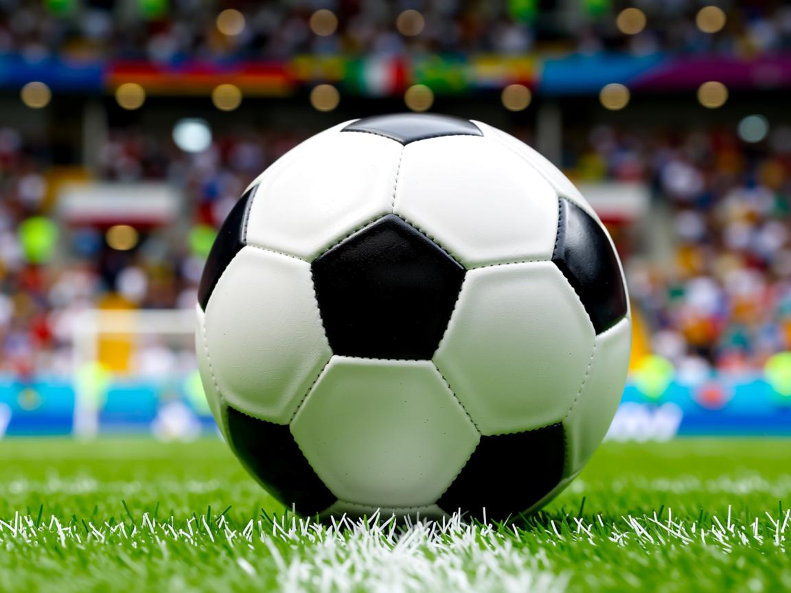 od体育官网入口-全国青少年网球冬训营开营百名学员参与,2021青少年网球比赛报名 第3张